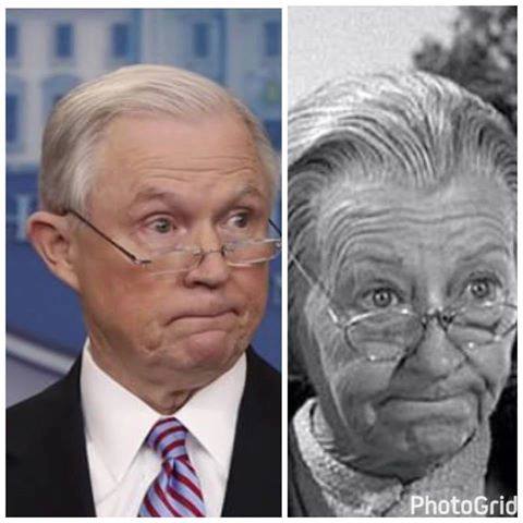 Image result for jeff sessions granny clampett