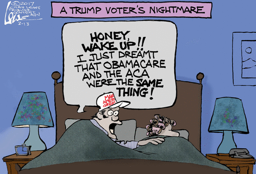 Title:  A Trump Voter's Nightmare.  Image:  Man wearing Trump hat in bed shakes his wife awake saying, 