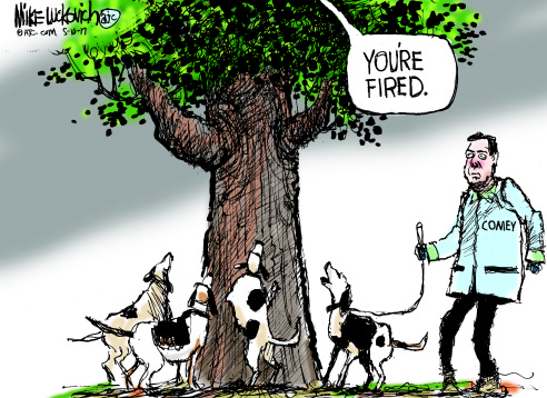 James Comey with flock of hunting dogs barking up a tree.  From the tree comes a voice saying, 