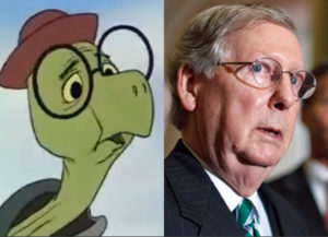 mcconnell-turtle