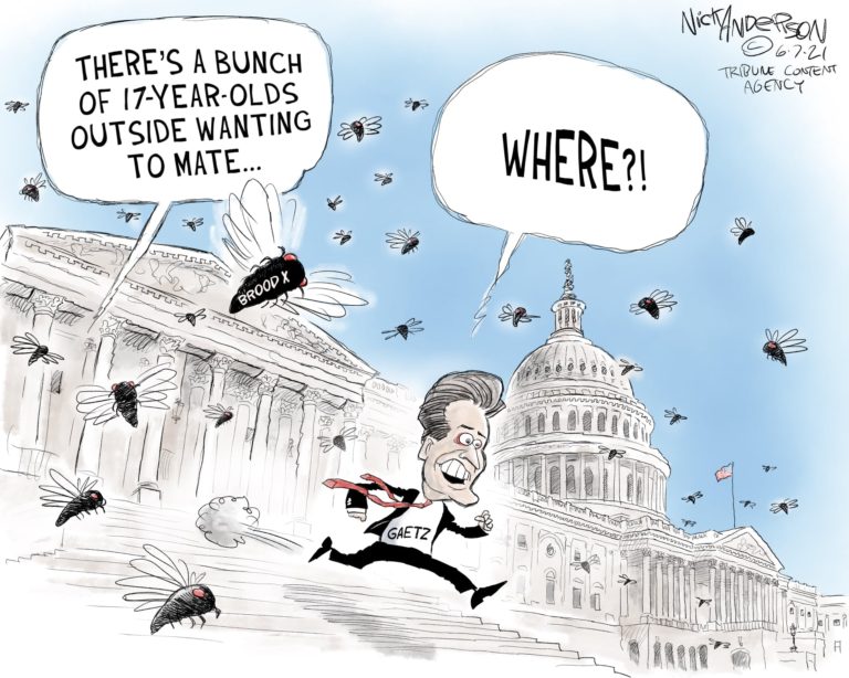 Flocks of cicadas fly about the Capitol.  Someone says, 